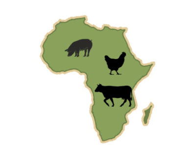 Le Marché de la Santé Animale en Afrique