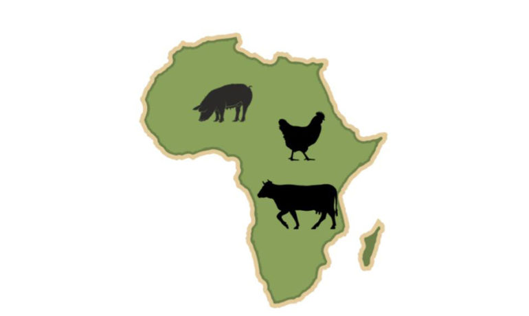 Carte stylisée du continent africain en vert, avec des silhouettes noires d'un cochon, d'une poule et d'une vache symbolisant l'élevage.