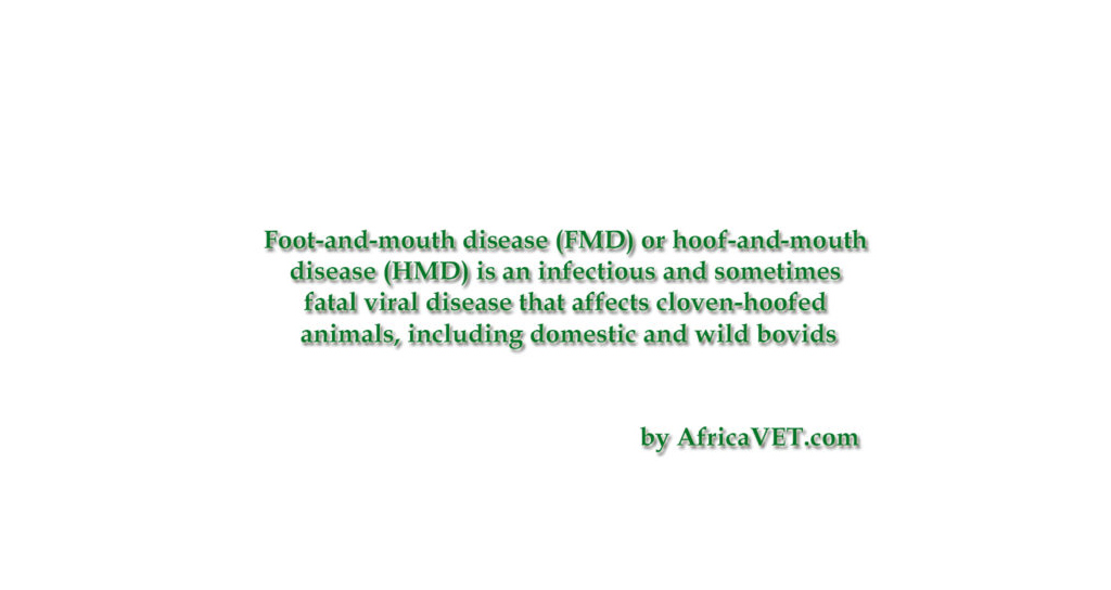 Text graphic defining Foot-and-mouth disease (FMD)