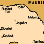 De Taïwan à Lomé : La Peste Porcine Africaine impose une réponse mondiale