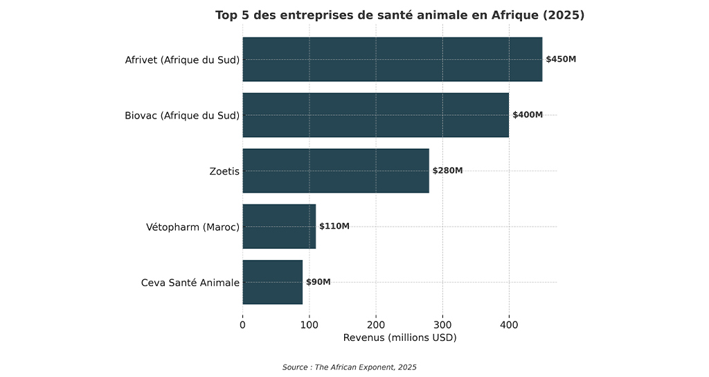 Les top 5 des entreprises selon les revenus estimés en Afrique pour 2025