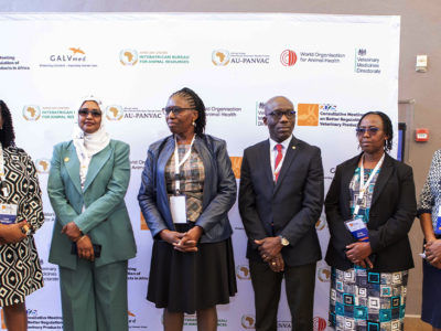 L’Afrique Accélère la Réglementation des Produits Vétérinaires pour Protéger l’Élevage et les Éleveurs