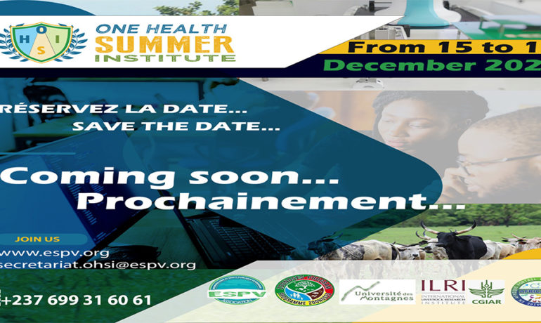 Poster promotionnel de la 3ème édition du One Health Summer Institute (OHSI) qui aura lieu à Yaoundé en Décembre 2025