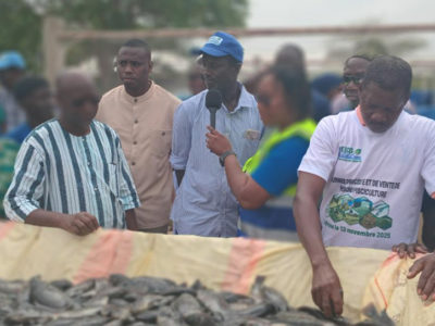 Kaffrine récolte une tonne de tilapias et plaide pour une station piscicole régionale d’alevins