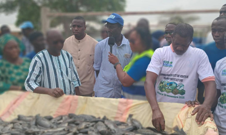 Des travailleurs, partenaires et officiels de l’ANA regroupés autour des tilapias lors de la Journée de récolte à la ferme Sékou Diatta, Kaffrine (Sénégal)