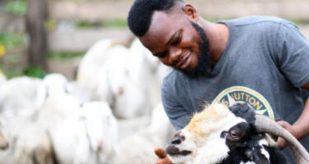Gros plan d'un jeune éleveur africain souriant, caressant le museau d'une chèvre tachetée noire et blanche, avec un troupeau de chèvres floues en arrière-plan.