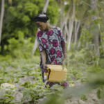 Virtual event : Management of acaricide resistance in livestock ticks in Africa,