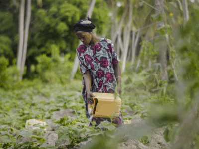 Virtual event :Growing evidence for the economic case of One Health intervention: A call to action from the latest Lancet One Health commission report, 25 November 2025 | 12:00-13:00 (CET)