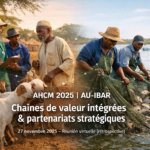 L’EISMV de Dakar recrute son/sa Directeur(trice) général(e) : candidatures ouvertes jusqu’au 30 janvier 2026