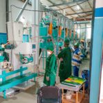 Sécheresses et inondations : 10 millions de têtes perdues en Afrique de l’Est, l’alerte qui relance le débat sur la résilience de l’élevage