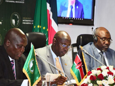 Vers une Afrique sans “Peste des Petits Ruminants” : Le Pari Politique d’une Révolution Pastorale