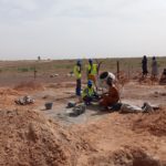 OMSA : Déclaration sur l’impact de la grippe aviaire sur la faune sauvage à l’échelle mondiale