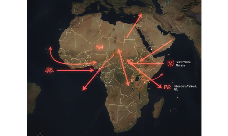 Carte de l'Afrique illustrant les flux des Maladies Animales Transfrontalières (MAT) et les routes de transhumance. Des flèches rouges montrent la propagation de maladies comme la Peste Porcine Africaine (PPA) et la Fièvre de la Vallée du Rift (FVR) à travers les frontières.