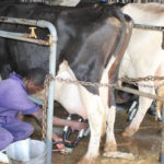 EU Launches €10 Million Call for Sustainable Ocean Projects in West Africa