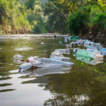 Kenya Unveils “Super Dairy Breed” to Transform Milk Production