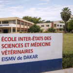 AHCM 2025 : quand l’AU-IBAR a « basculé » de la coordination à l’exécution continentale des chaînes de valeur