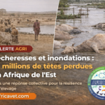Burkina Faso : à Kaya, une nouvelle usine transforme le maïs et produit des aliments pour bétail pour soutenir la souveraineté alimentaire