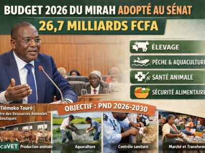 Côte d’Ivoire : le Sénat adopte le budget 2026 du MIRAH, en hausse à 26,7 milliards FCFA