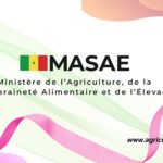 Côte d’Ivoire : le Sénat adopte le budget 2026 du MIRAH, en hausse à 26,7 milliards FCFA