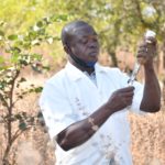 Sénégal : une hausse budgétaire de 38 % annoncée pour l’agriculture en 2026, au cœur de l’ambition de souveraineté alimentaire