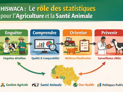 Gabon : quand la statistique devient un outil de terrain pour l’agriculture et la santé animale (projet HISWACA)