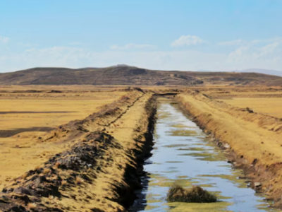 Mauritania’s Green Frontier: From Arid Landscapes to Agricultural Ambition