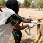 Mauritania’s Green Frontier: From Arid Landscapes to Agricultural Ambition