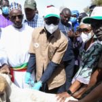 Jobs – FAO Representative in Tanzania (P-5) | Dar es Salaam