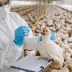 Innovation, Diplomatie « One Health » à la 3ème édition du One Health Summer Institute (OHSI)