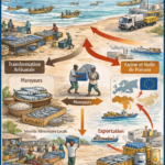 Mpox dans l’océan Indien : une alerte régionale qui appelle une réponse « Une Seule Santé »