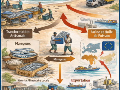 Sénégal : farine de poisson, quand l’export fragilise la transformation artisanale
