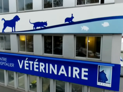 Urgences Vétérinaires, la passion au service des animaux