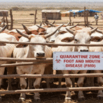 OMSA : Appel à candidatures – Consultant(e) en réduction des menaces biologiques et en préparation aux urgences (français avancé obligatoire)