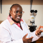 Strengthening Regional Stability: FAO Orchestrates Strategic Cooperation on Cross-Border Transhumance