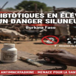 Au Tchad, le Ouaddaï passe à l’action : 300 000 animaux ciblés contre la PPR et la PPCB