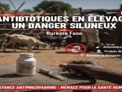 Alerte sur l’Abus des Antibiotiques en Élevage au Burkina Faso