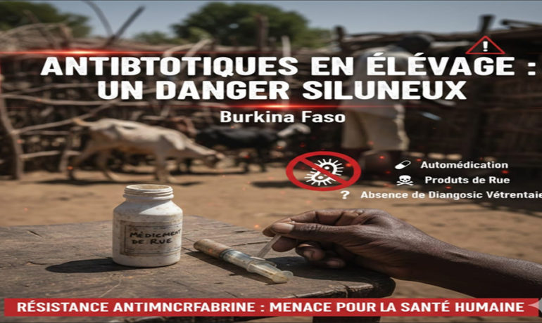 Médicament de rue" dans une ferme au Burkina Faso, avec en arrière-plan des chèvres et un texte d'avertissement sur les dangers des antibiotiques en élevage