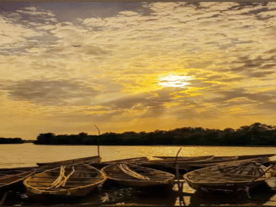 The Economic and Environmental Crossroads of North and West African Fisheries