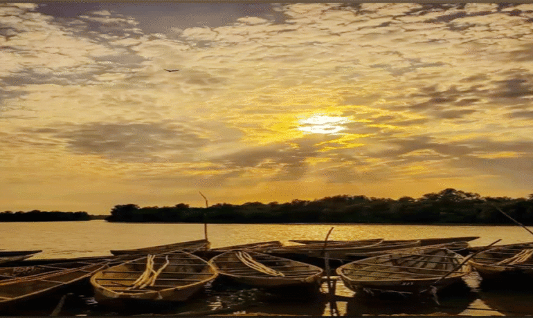 fleet of traditional wooden fishing boats docked at sunset, symbolizing the decline in catch volumes in North and West African fisheries