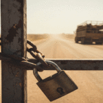 The Economic and Environmental Crossroads of North and West African Fisheries