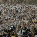 The Economic and Environmental Crossroads of North and West African Fisheries