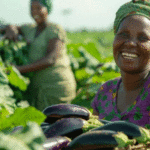 New Career Opportunities at Africa CDC