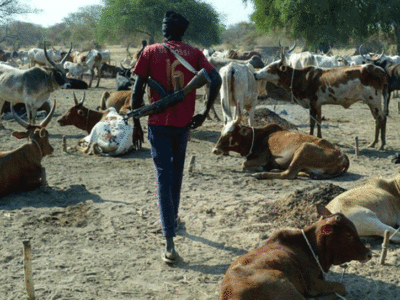 Vol de bétail en Afrique de l’Ouest : Un fléau à 255 milliards qui menace notre sécurité sanitaire
