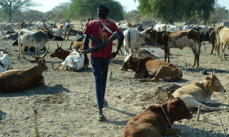Le fléau du vol de bétail en Afrique de l'Ouest