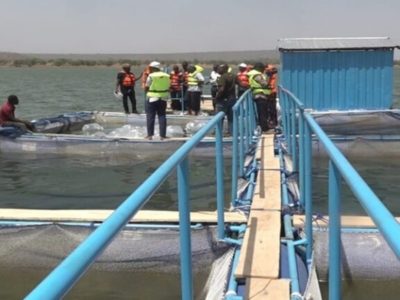 Burkina Faso : Au barrage de Yakouta, des cages qui flottent… et une promesse de poisson pour le Liptako