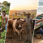 L’innovation au service de l’élevage africain