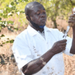 La Toxocariose : Sous nos pieds, une menace invisible