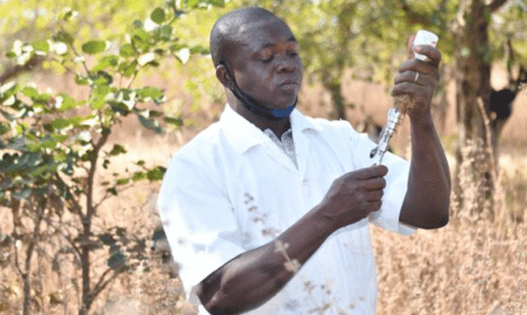 Un vétérinaire préparant un traitement en zone rurale : un geste essentiel pour la santé animale et la protection des populations contre les zoonoses