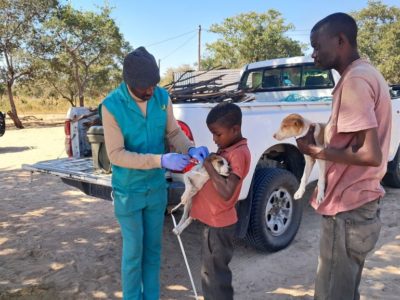 Vers une Afrique sans rage d’ici 2030 : Le continent accélère la cadence en ce début d’année 2026