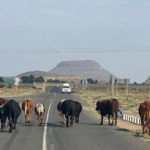 Industrial Overfishing in Guinea-Bissau